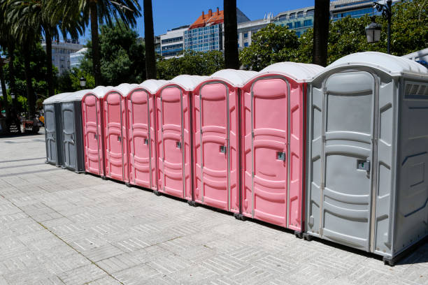 Best Standard Portable Toilet Rental  in Pamplico, SC